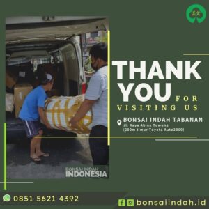 124083638_406020924109272_2986768704355185837_n